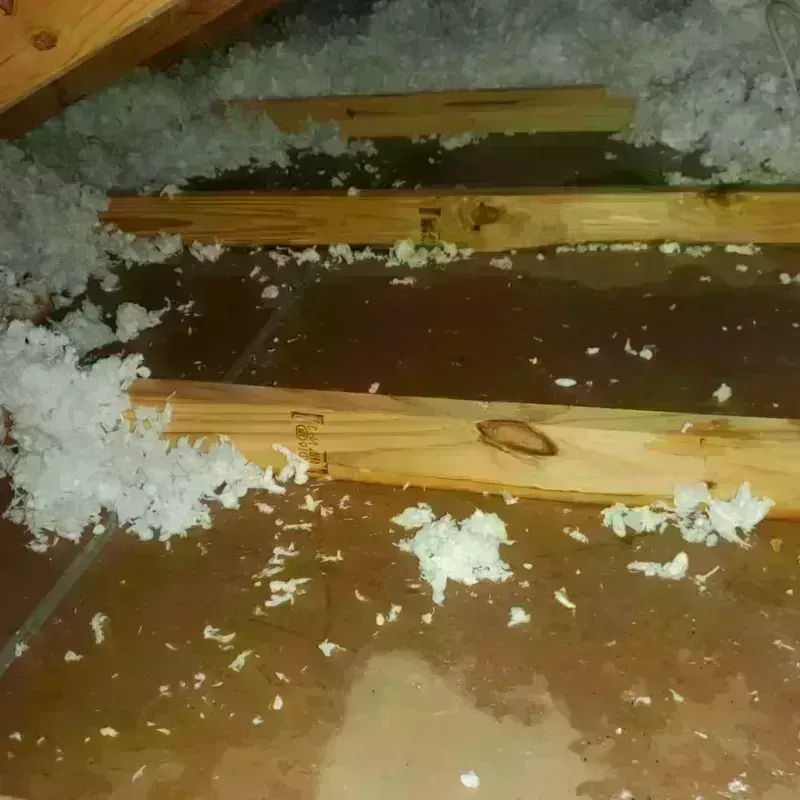 Attic Water Damage in Jayton, TX