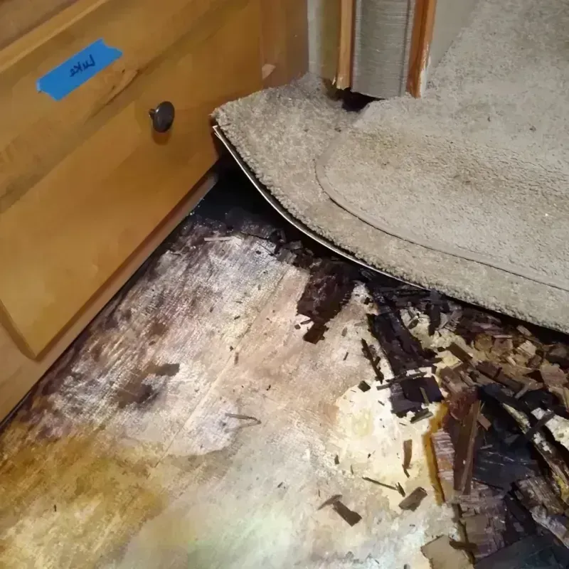 Wood Floor Water Damage in Jayton, TX